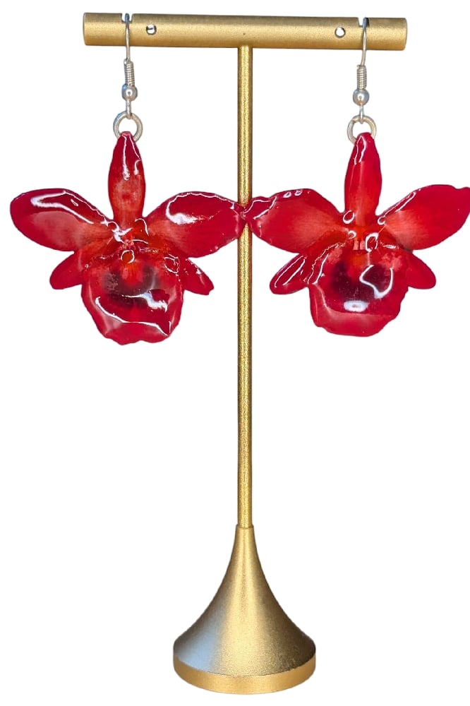Image of Dendrobium Hybrid Earrings