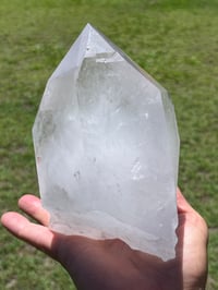 Image 8 of Clear Quartz Points Cluster #1187