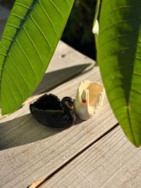 Small Jar Swan-Black