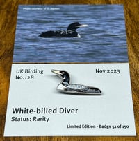 Image 1 of White-billed Diver - No.128 - UK Birding Series