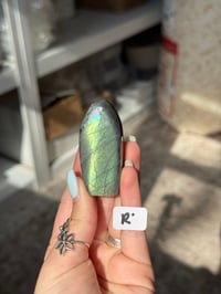Image 18 of CHOOSE YOUR OWN MINI LABRADORITE FREEFORM -MADAGASCAR-