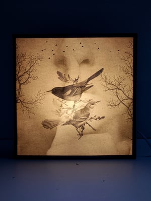 Image of Silencio, naturaleza. Dual