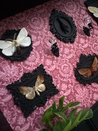 Image 2 of Moth gallery wall