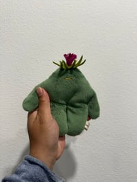 mini thistle Bloog