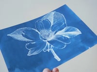 Cyanotype – Format A5💙