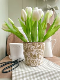 Image 2 of Tulip Bouquets ( 4 options )