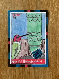 Anna’s Hummingbird. Single Card. 