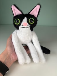 Image 4 of Custom Order for Thestormmoon