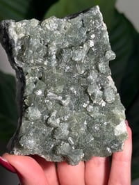 Image 2 of BOWTIE PREHNITE -INDIA- F
