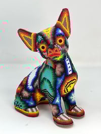 Image 1 of Chihuaha