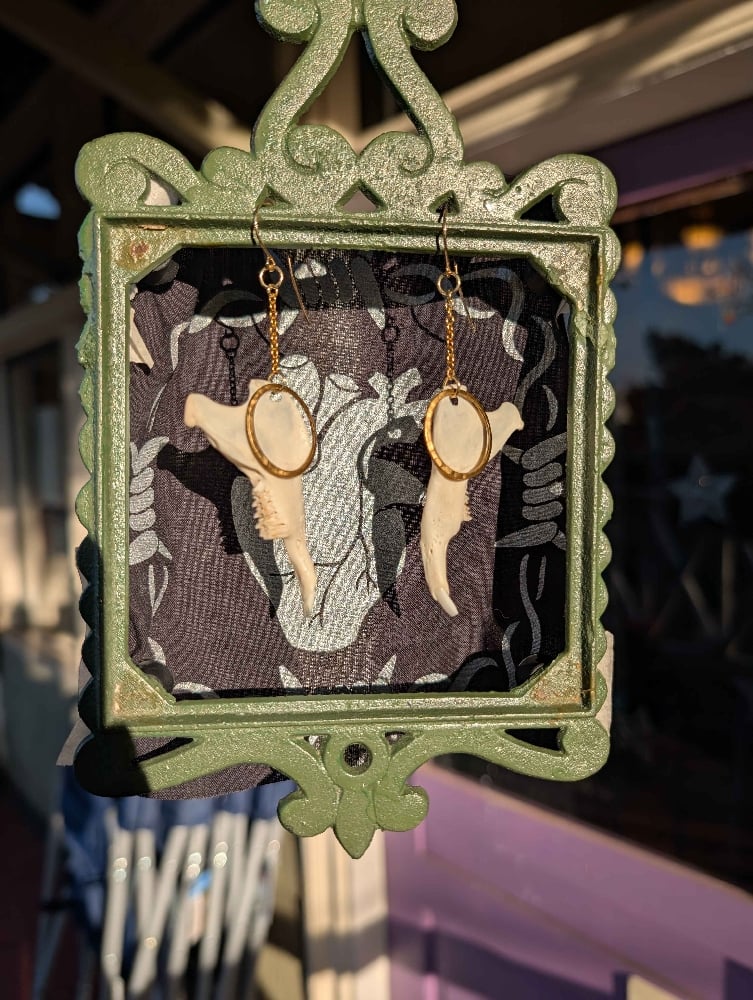 Image of rabbit jawbone earrings