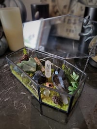 Image 1 of Coffin Crystal Garden