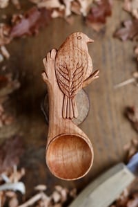 Image 1 of Robin~ Coffee Scoop
