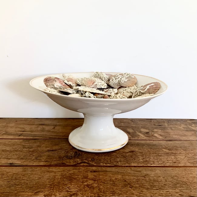 Antique porcelain white and gold tazza