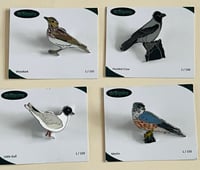 Image 1 of WBI Pin Badges - Choose A Species