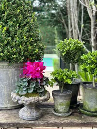 Image 3 of Low Patina Planter Urn 