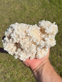 Image 15 of Aragonite On White Calcite Specimen #1243