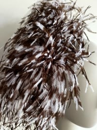 Image 2 of Brown and white ostrich