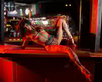 Image 3 of Tiger Set 