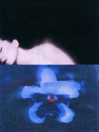 Image 2 of blue (self) portrait 
