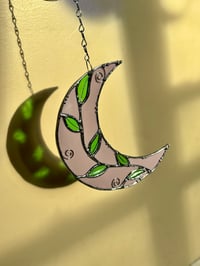 Image 1 of Purple moon with irid leaves 