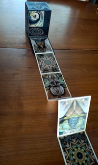 Image 7 of Love Expands- Colleen Steenhagen