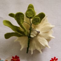 Image 6 of Doll face Rose Corsage