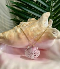 Image 2 of Scallop Shell Necklace N173