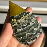 Image 5 of Sea Jasper Flames ($14)