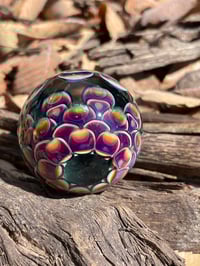 Image 10 of Amber Purple Jungle