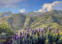 BETWEEN EXPERIENCE & AWARENESS (OJAI)