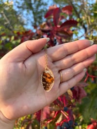 Image 1 of Earthy Butterfly Necklaces