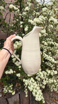 Image 1 of Pitcher 01