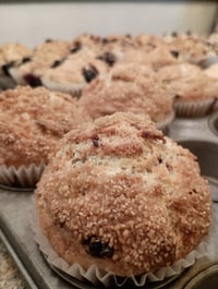 Image 3 of Dozen Muffins - Pickup 