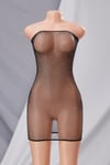 “Bria Sheer Mini Dress”