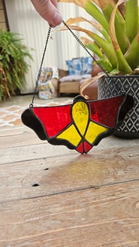 Image 1 of Muti coloured moth