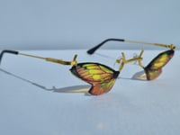 Image 3 of Monarch