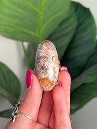Image 1 of MEXICAN LACE AGATE SHIVA O