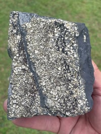 Image 9 of Shungite Specimen With Cubic Pyrite #606