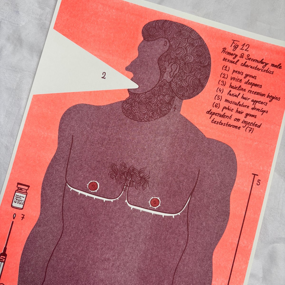 Image of Male Hormones Riso Print