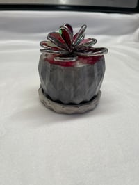 Image 1 of Red Succulent in Pot