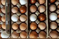 Eggs - Farm Fresh unwashed 