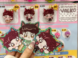 Valko Merch Pre-order