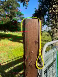 Image 1 of Yellow Lead