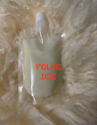 Polar ice squeeze wax melts