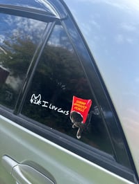 Image 1 of Shrimp Vehicle Certification 