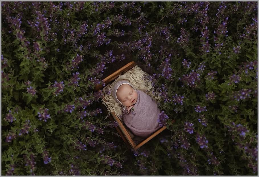 Image of .::Black Friday SALE::. Newborn session  $100 off