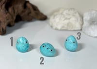 Image 2 of Songbird Eggs