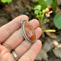 Fossilized Coral