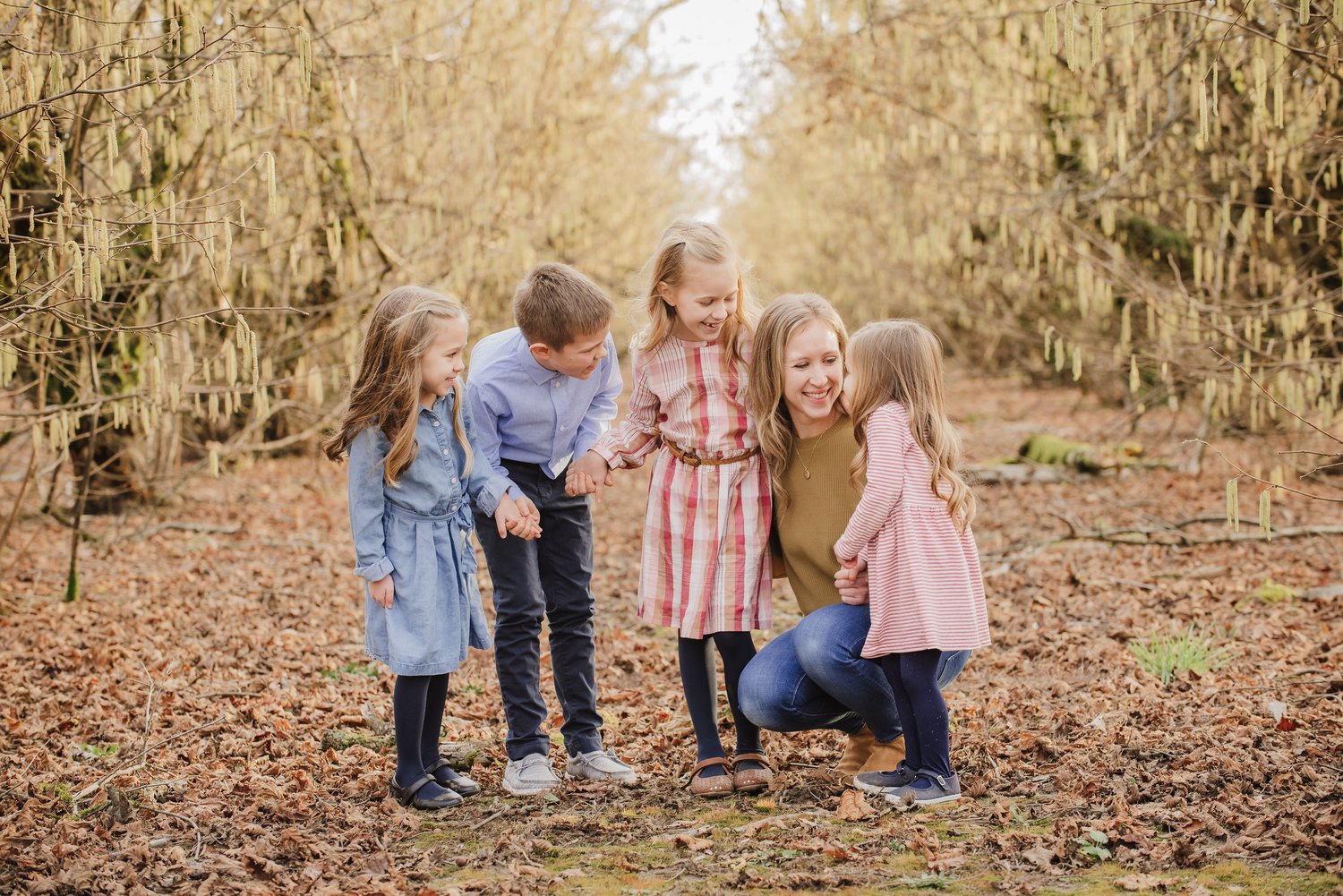 Image of Professional Mentoring Session